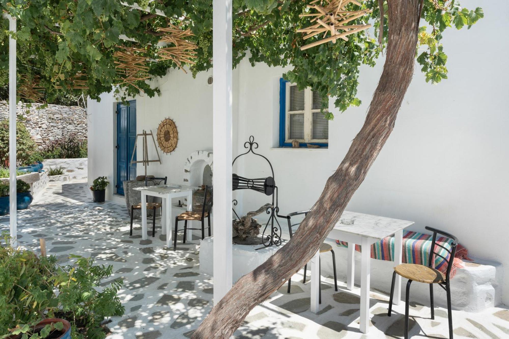 Apartment Politimis N6
